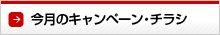今月のチラシ