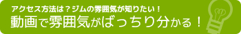 動画で雰囲気がばっちり分かる！