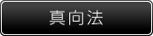 真向法