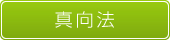 真向法