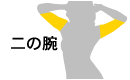 二の腕