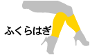 ふくらはぎ