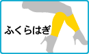 ふくらはぎ
