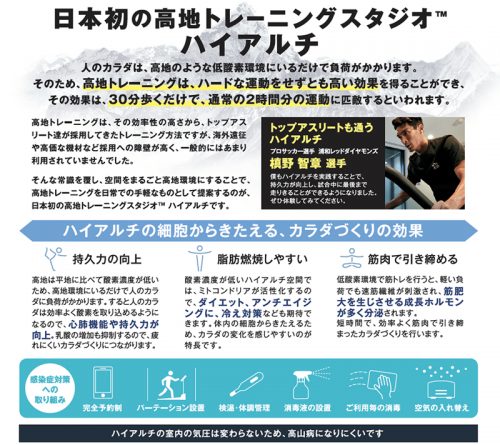 ハイアルチはこんなところ チラシ画像